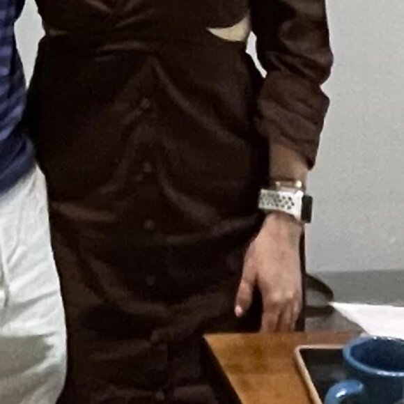 Brown Cotton Poplin Dress - Picture 4 of 4